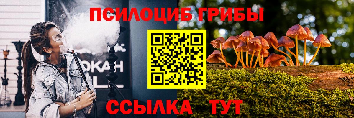 Галлюциногенные грибы GOLDEN TEACHER Шелехов