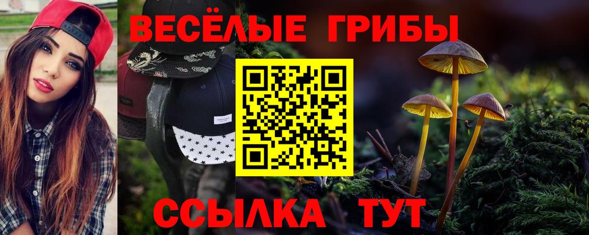 Псилоцибиновые грибы Psilocybine cubensis  Галлюциногенные грибы Cubensis  Шелехов  Вход с VPN 